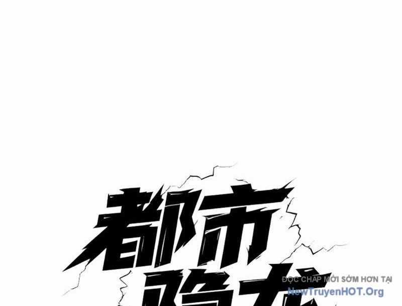 Ẩn Long Đô Thị - Chương 2 - Trang 3