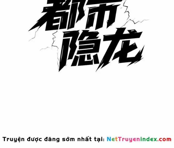 Ẩn Long Đô Thị - Chương 40 - Trang 40