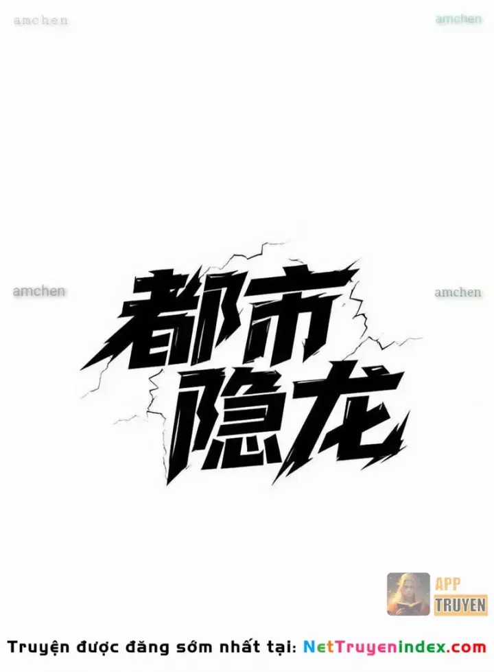 Ẩn Long Đô Thị - Chương 49 - Trang 8