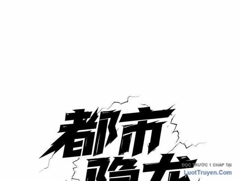 Ẩn Long Đô Thị - Chương 7 - Trang 13
