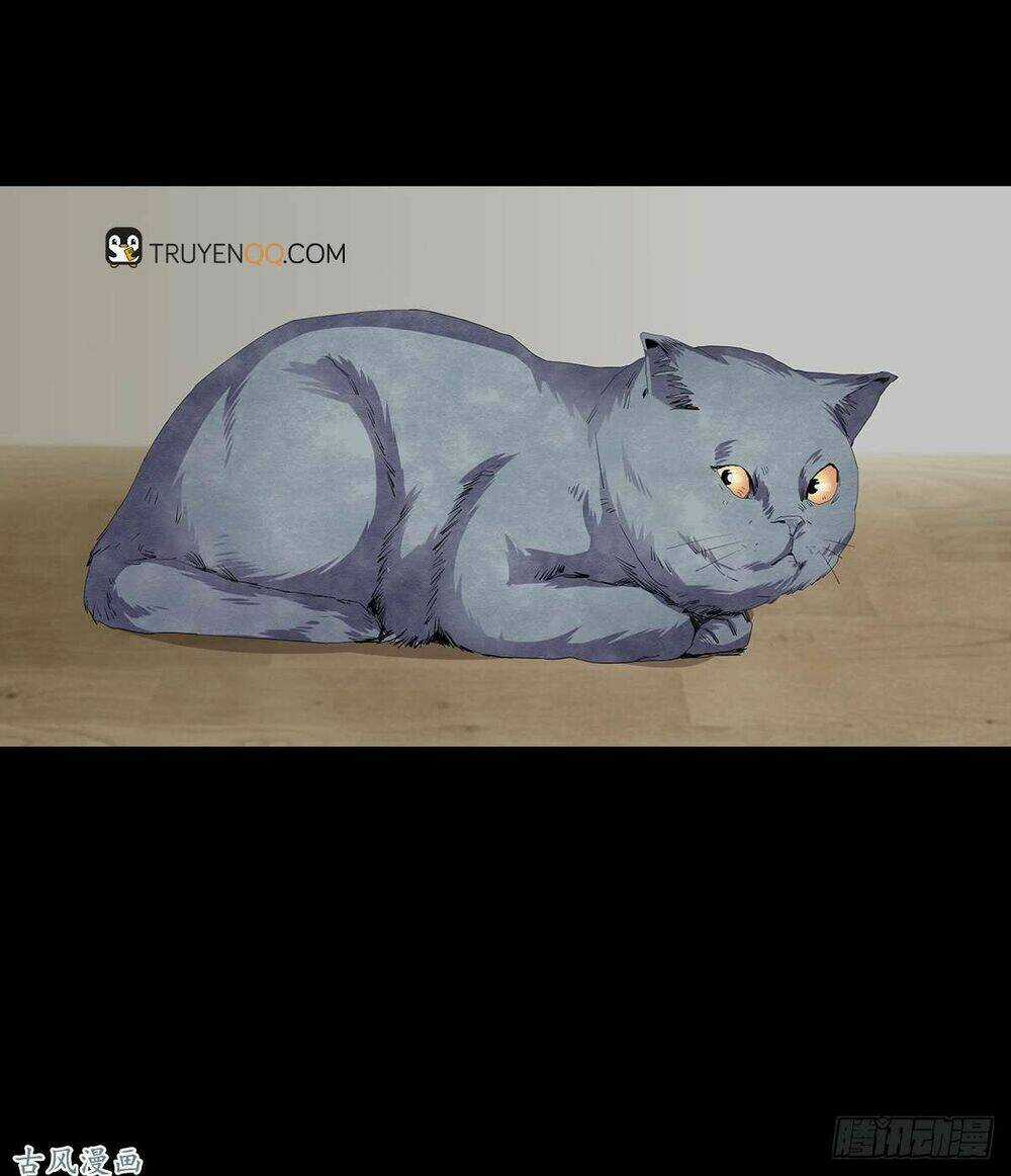 Ẩn Số Về Tứ Gia - Chapter 2 - Trang 20