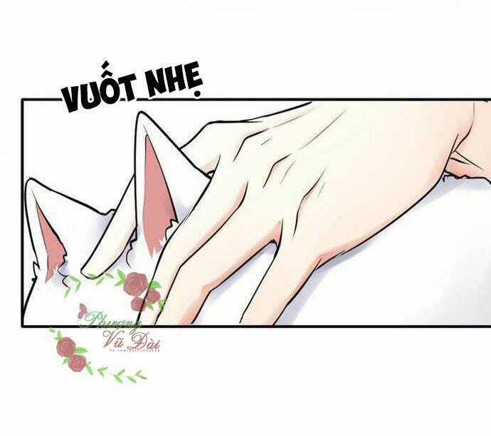 Ảnh Đế Cầu Sủng - Chapter 2 - Trang 31