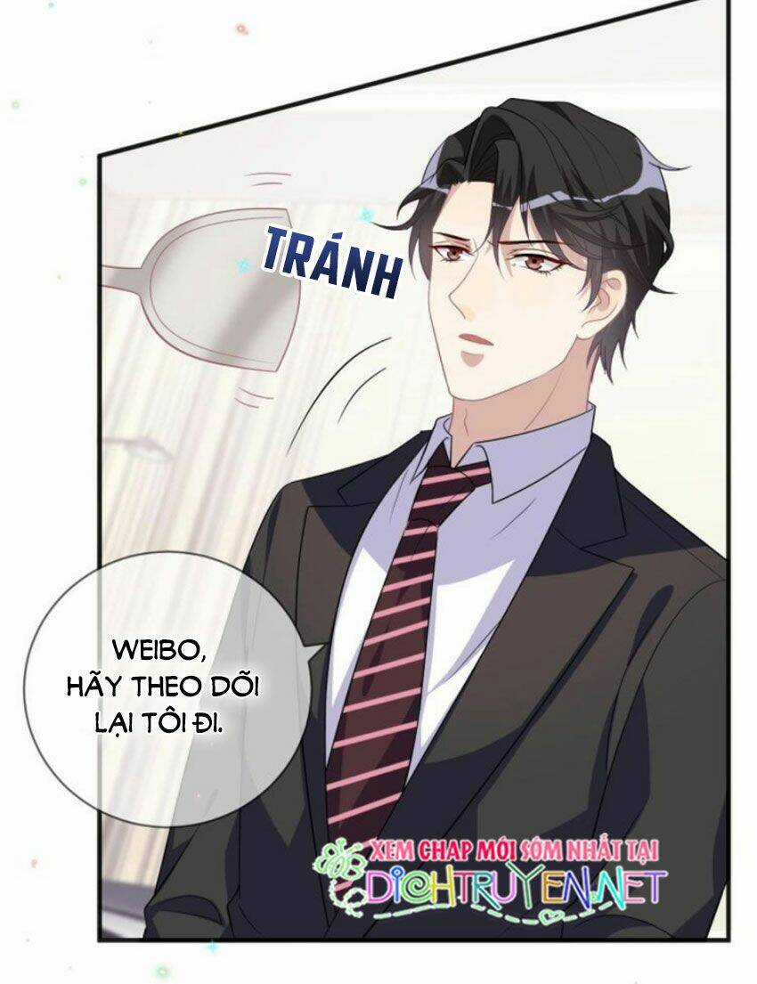 Ảnh Đế Làm Loạn Đòi Ly Hôn - Chapter 13 - Trang 13