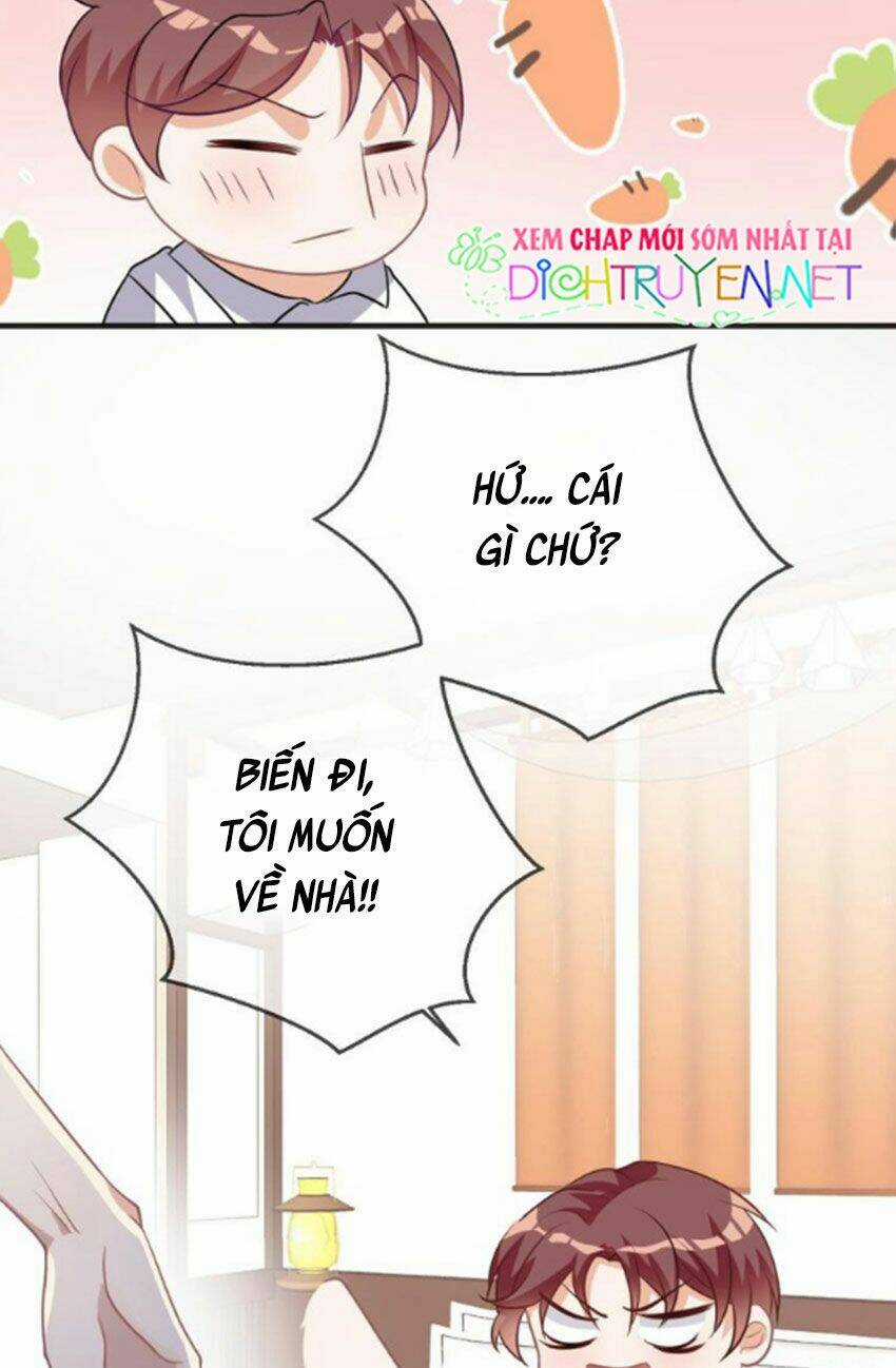 Ảnh Đế Làm Loạn Đòi Ly Hôn - Chapter 5 - Trang 10