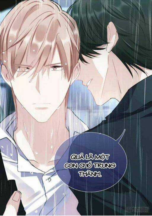 Ảnh Đế X Ảnh Đế - Chapter 149 - Trang 8