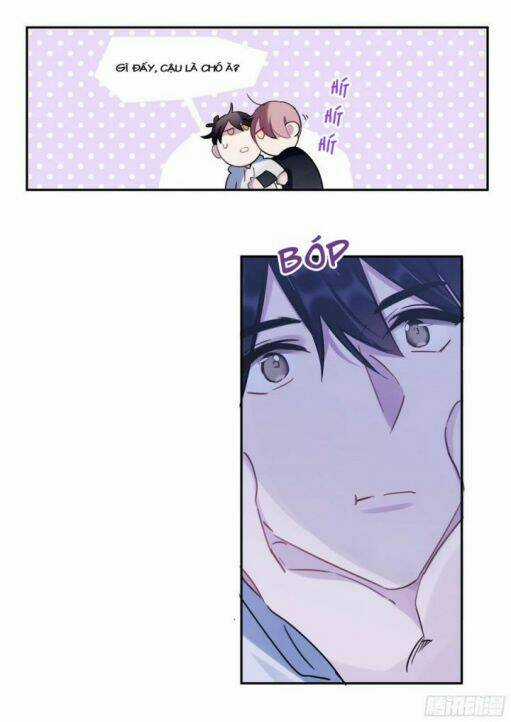 Ảnh Đế X Ảnh Đế - Chapter 169 - Trang 8