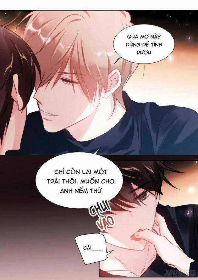 Ảnh Đế X Ảnh Đế - Chapter 207 - Trang 10