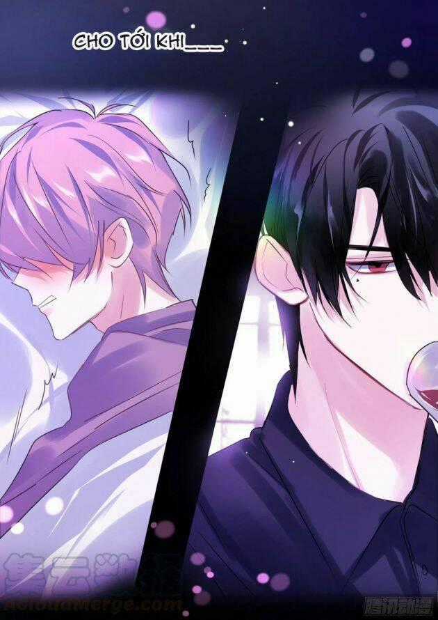 Ảnh Đế X Ảnh Đế - Chapter 208 - Trang 17