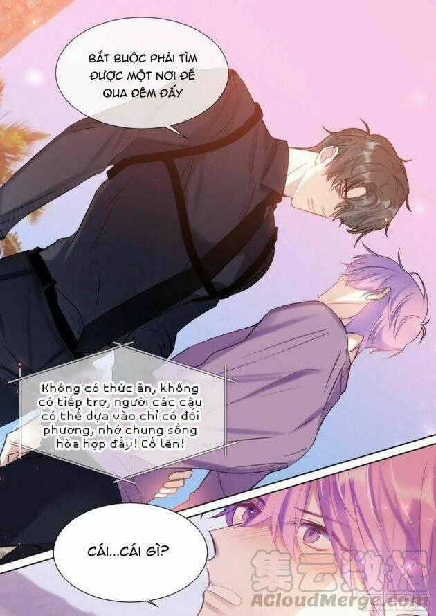 Ảnh Đế X Ảnh Đế - Chapter 211 - Trang 19