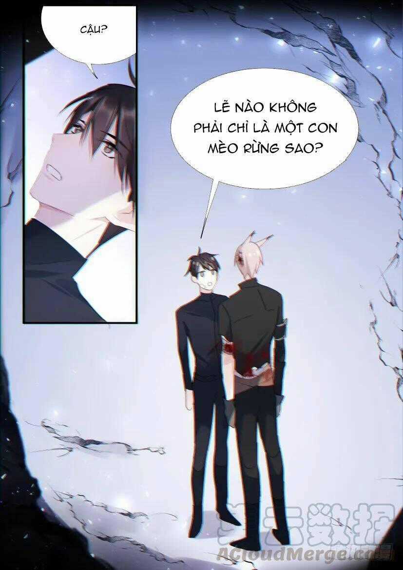 Ảnh Đế X Ảnh Đế - Chapter 95 - Trang 1