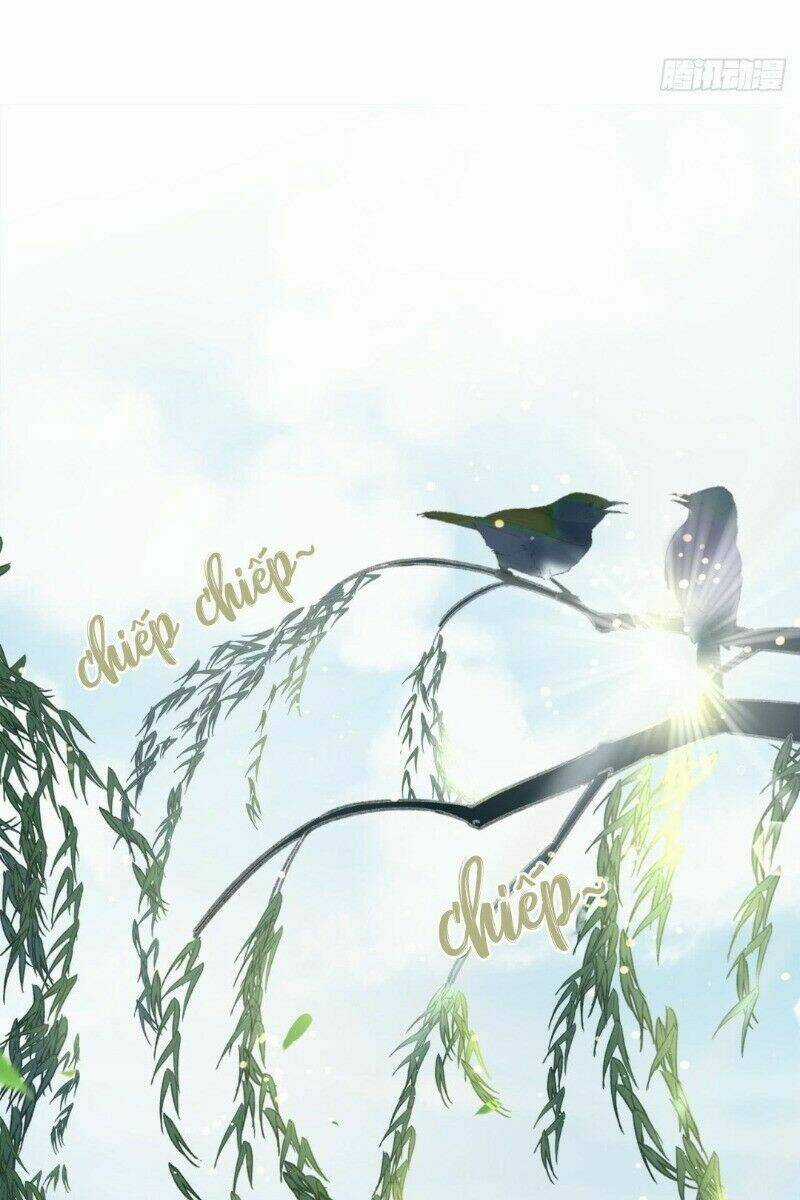 Ảnh Đế Yêu Hồ - Chapter 17 - Trang 11