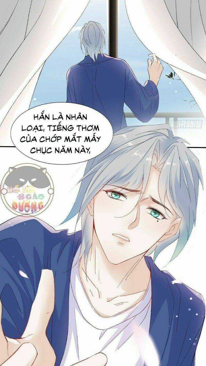 Ảnh Đế Yêu Hồ - Chapter 21 - Trang 10