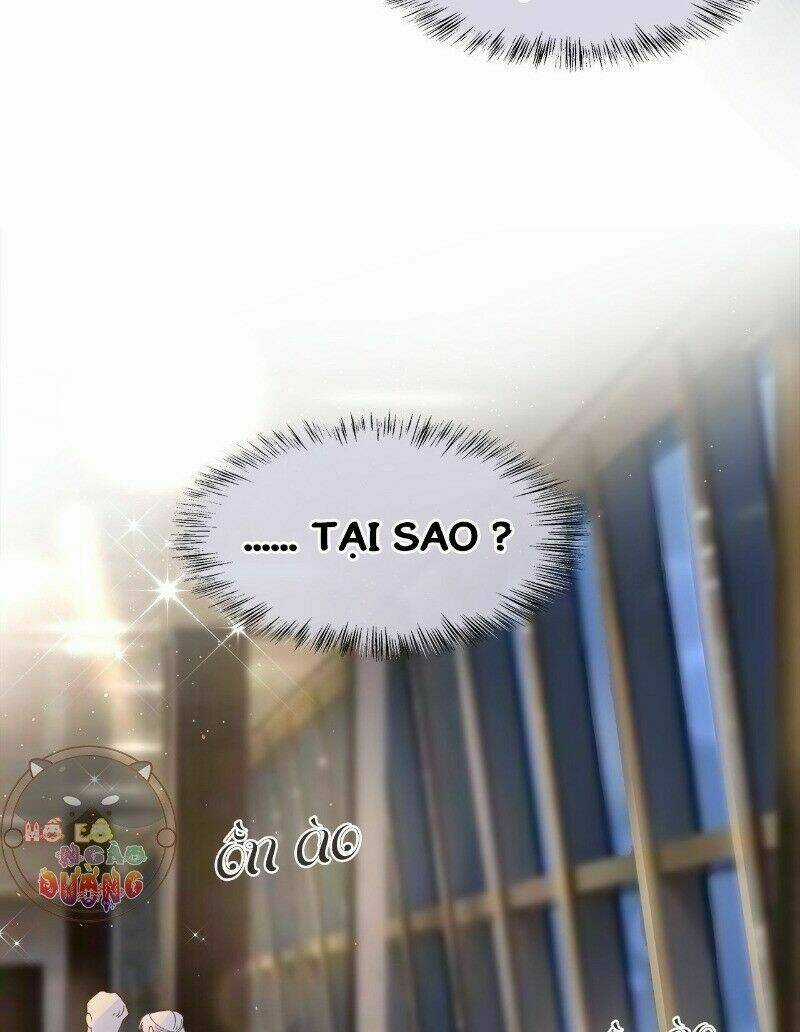 Ảnh Đế Yêu Hồ - Chapter 23 - Trang 5