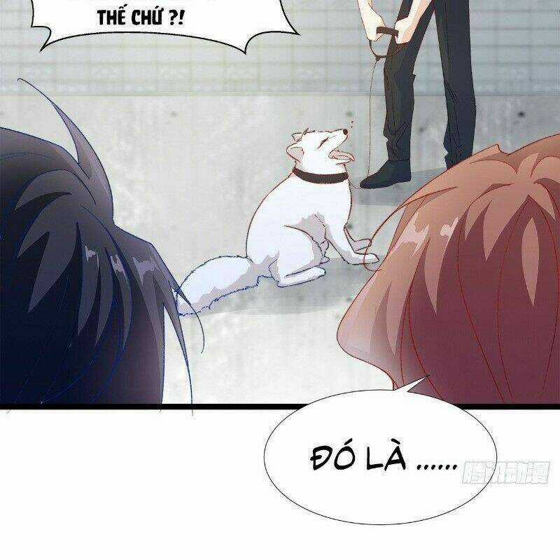 Ảnh Đế Yêu Hồ - Chapter 29 - Trang 28