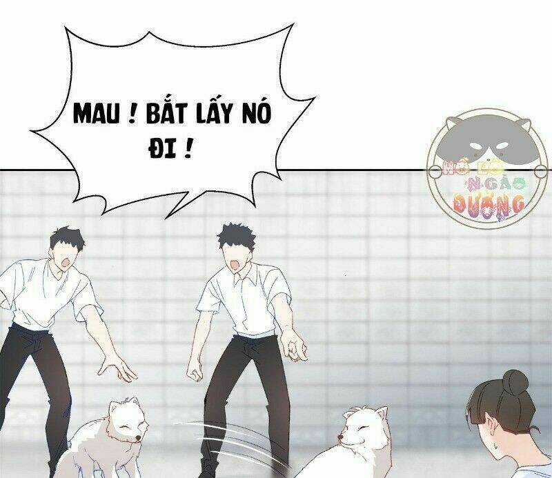 Ảnh Đế Yêu Hồ - Chapter 29 - Trang 31