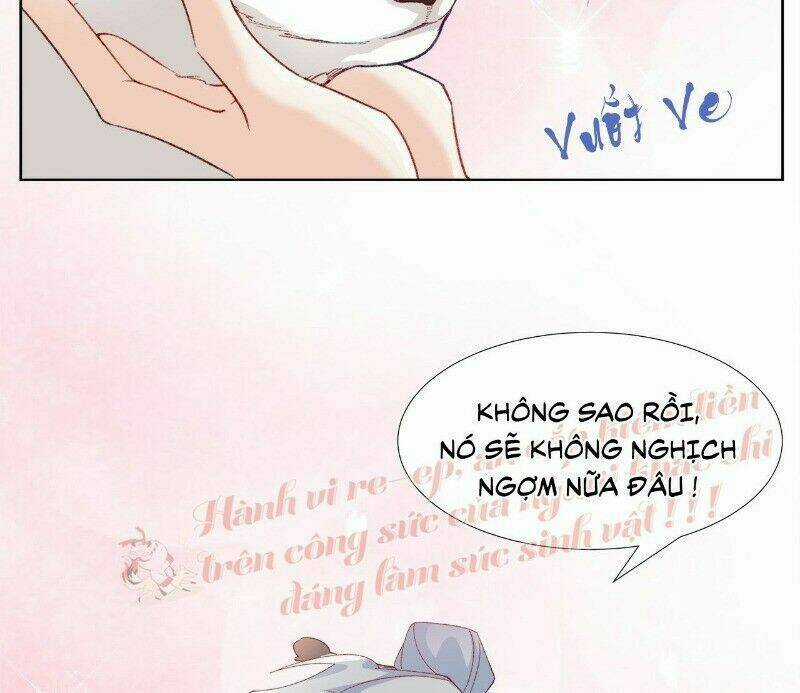 Ảnh Đế Yêu Hồ - Chapter 29 - Trang 39