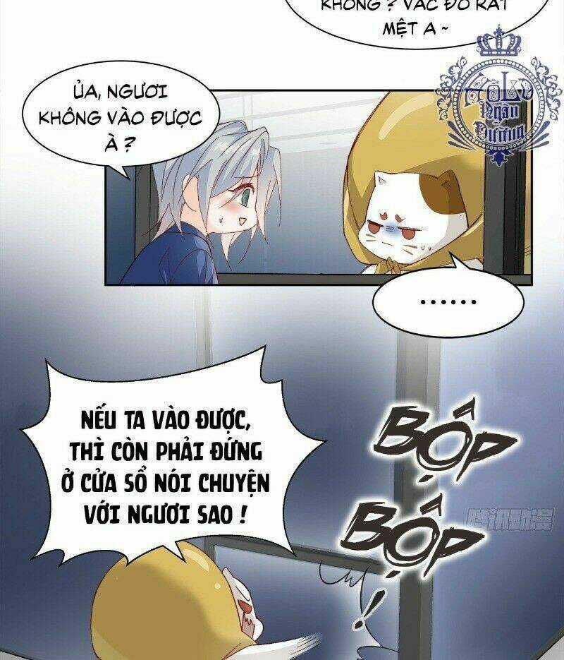 Ảnh Đế Yêu Hồ - Chapter 39 - Trang 11