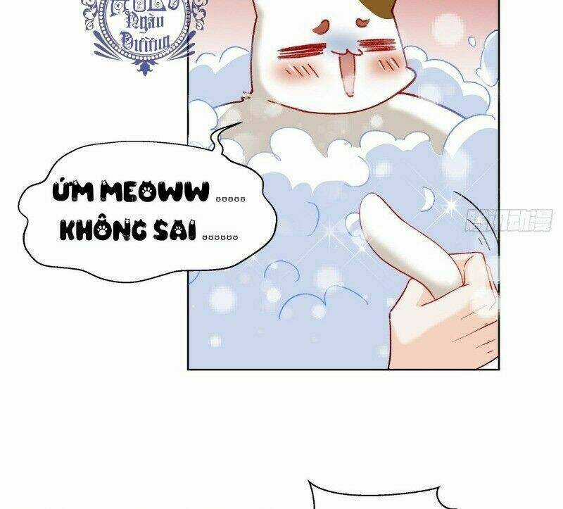 Ảnh Đế Yêu Hồ - Chapter 39 - Trang 17