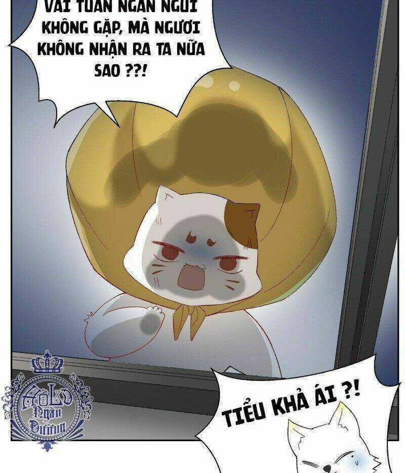 Ảnh Đế Yêu Hồ - Chapter 39 - Trang 9