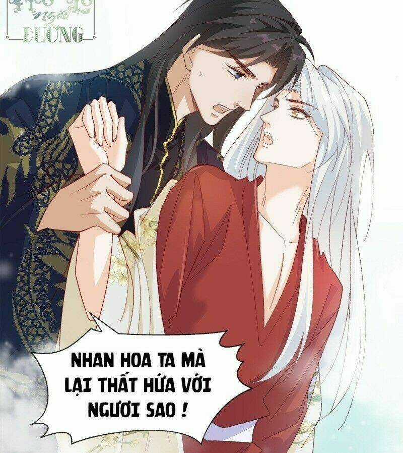 Ảnh Đế Yêu Hồ - Chapter 40 - Trang 33