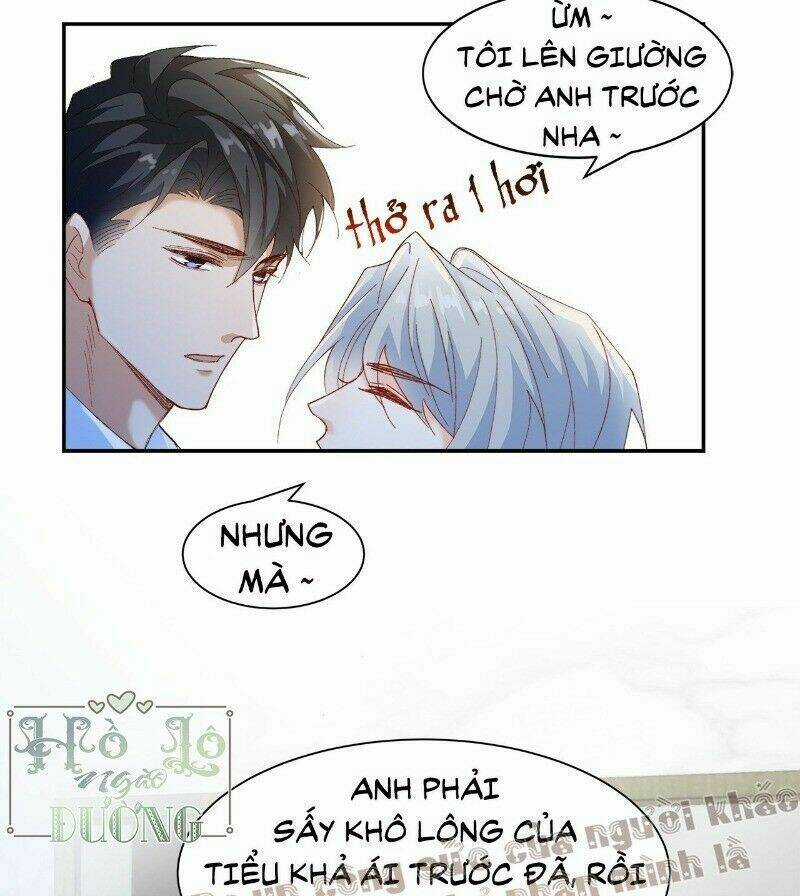 Ảnh Đế Yêu Hồ - Chapter 40 - Trang 7