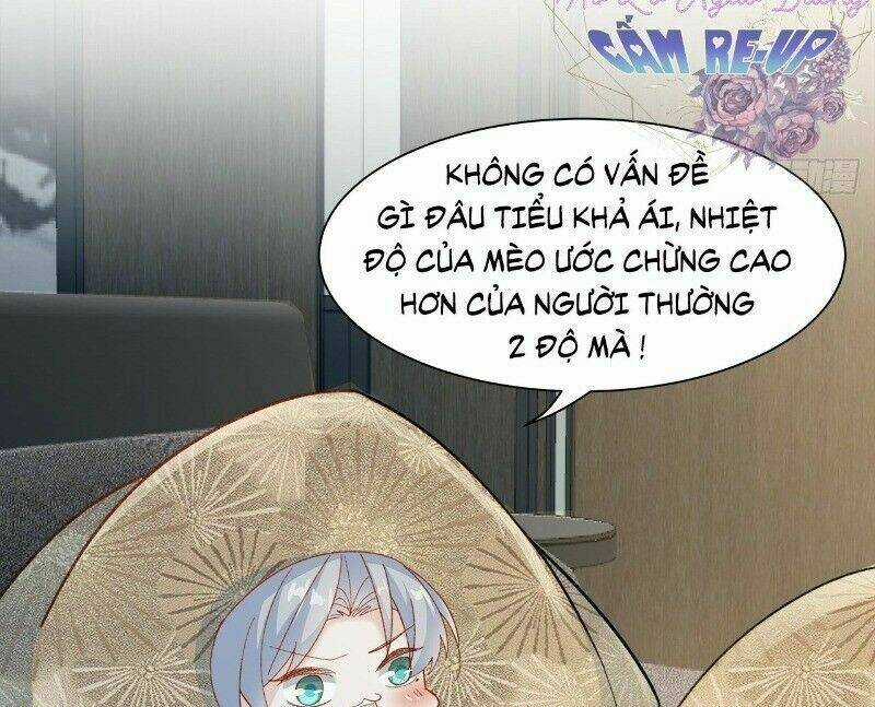 Ảnh Đế Yêu Hồ - Chapter 41 - Trang 26