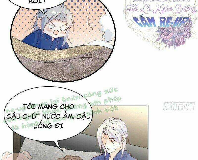 Ảnh Đế Yêu Hồ - Chapter 41 - Trang 31