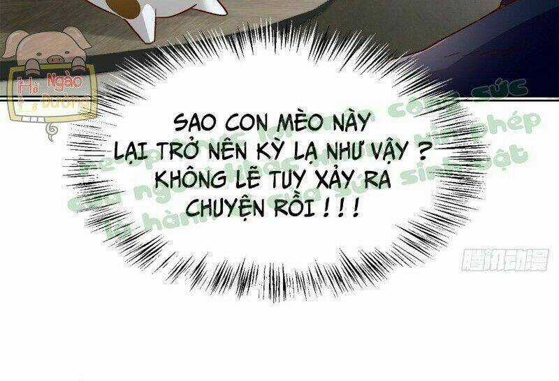 Ảnh Đế Yêu Hồ - Chapter 41 - Trang 55