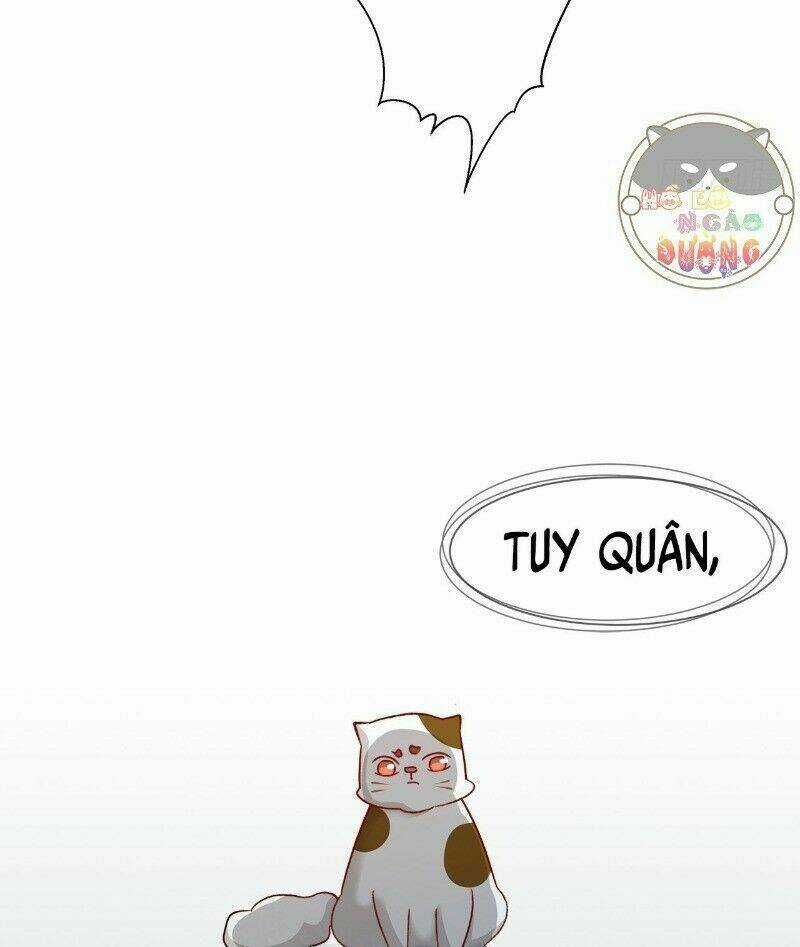 Ảnh Đế Yêu Hồ - Chapter 43 - Trang 33