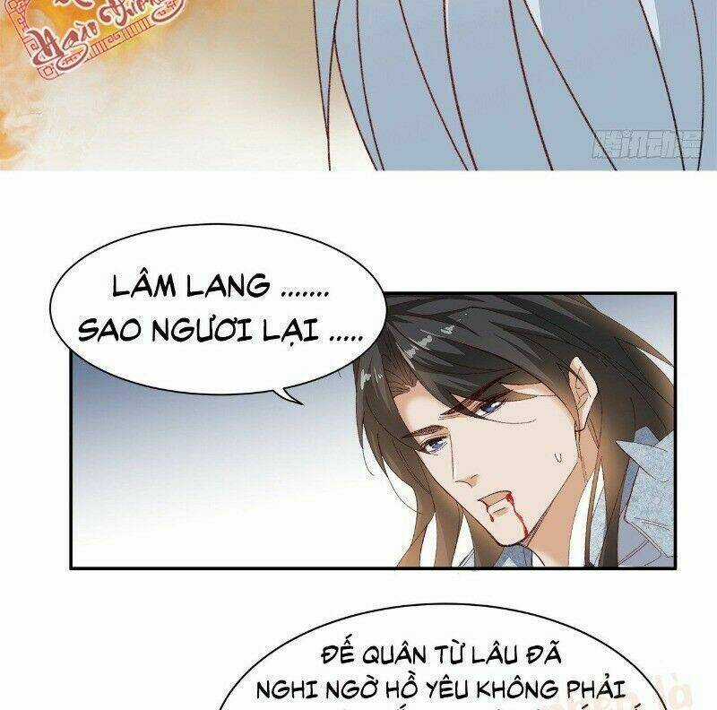 Ảnh Đế Yêu Hồ - Chapter 48 - Trang 40