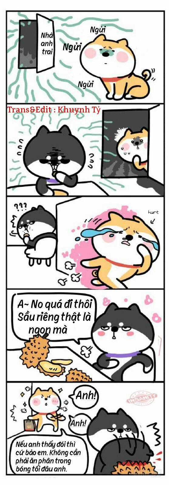 Anh Em Shiba - Chapter 1 - Trang 3