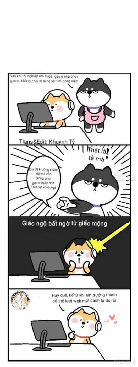 Anh Em Shiba - Chapter 11 - Trang 2