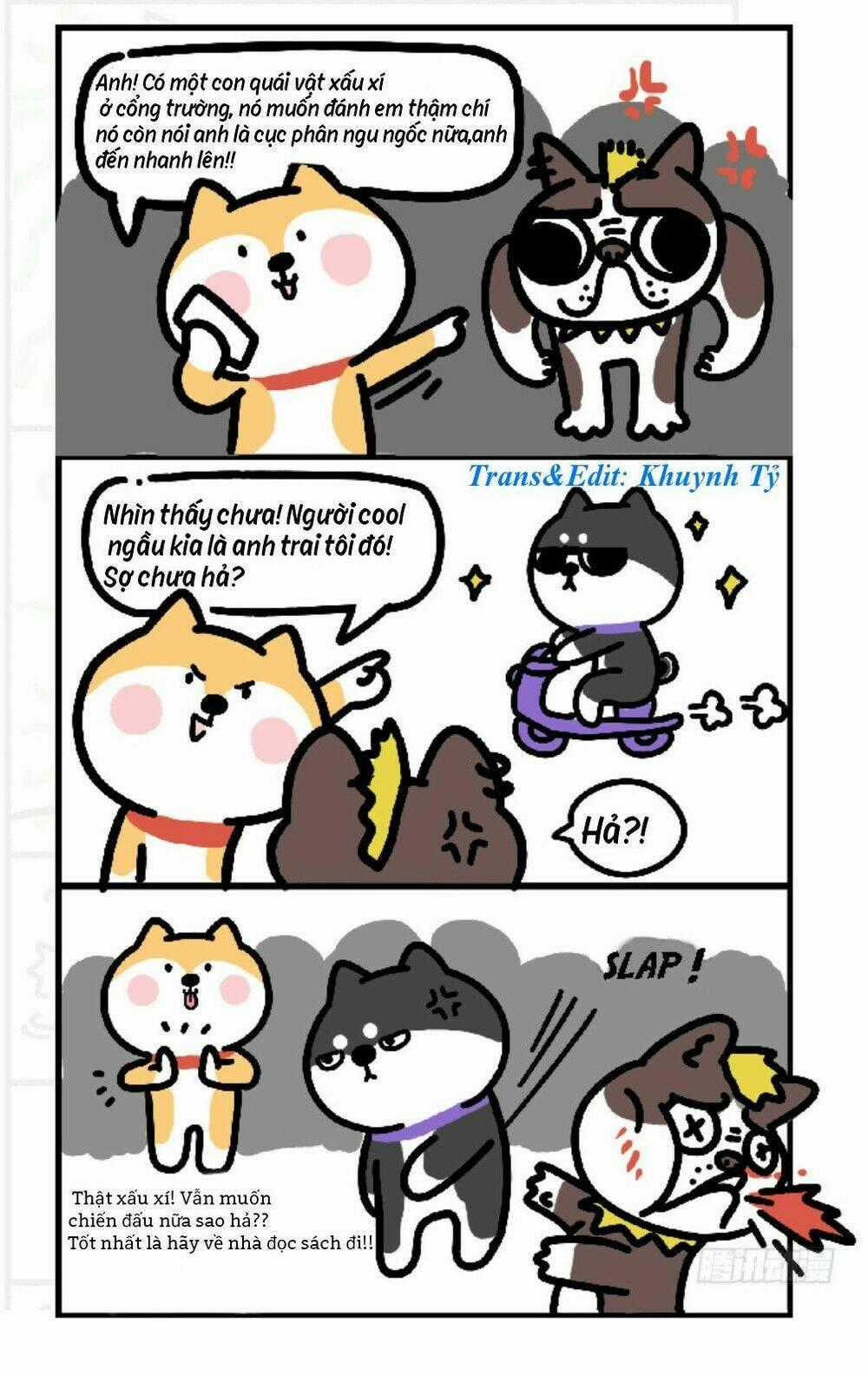 Anh Em Shiba - Chapter 3 - Trang 2