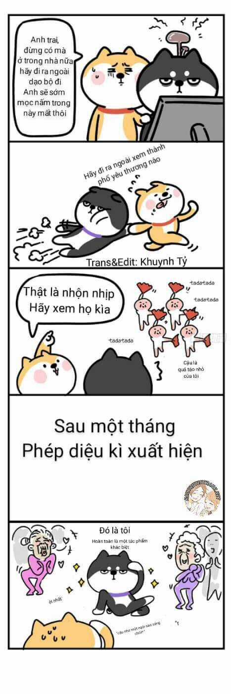 Anh Em Shiba - Chapter 4 - Trang 7