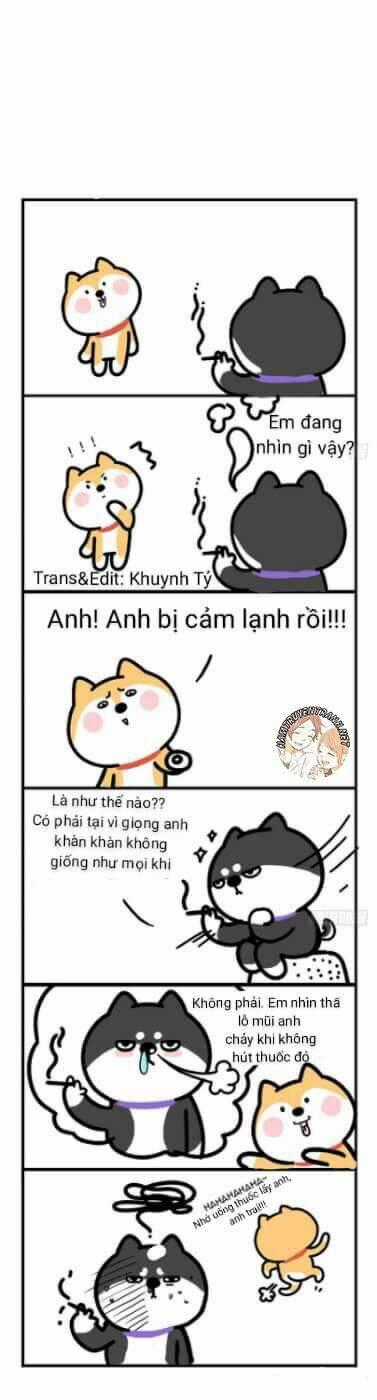Anh Em Shiba - Chapter 4 - Trang 8