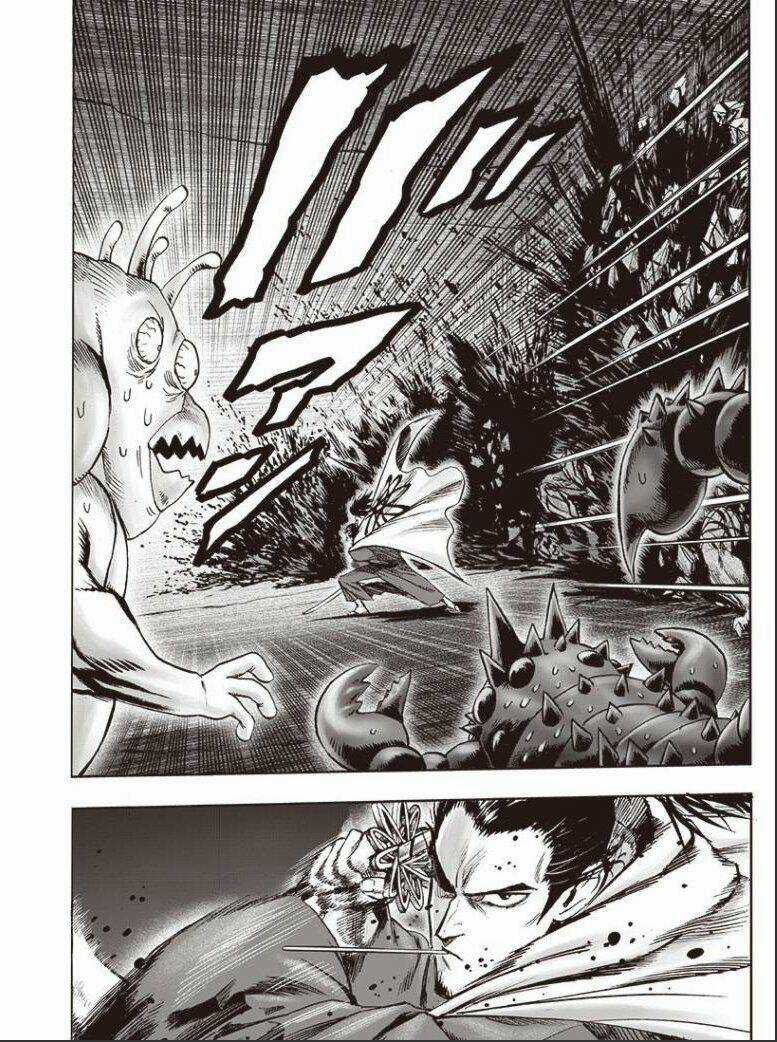 Anh Hùng Onepunch - Chapter 178.1 - Trang 20