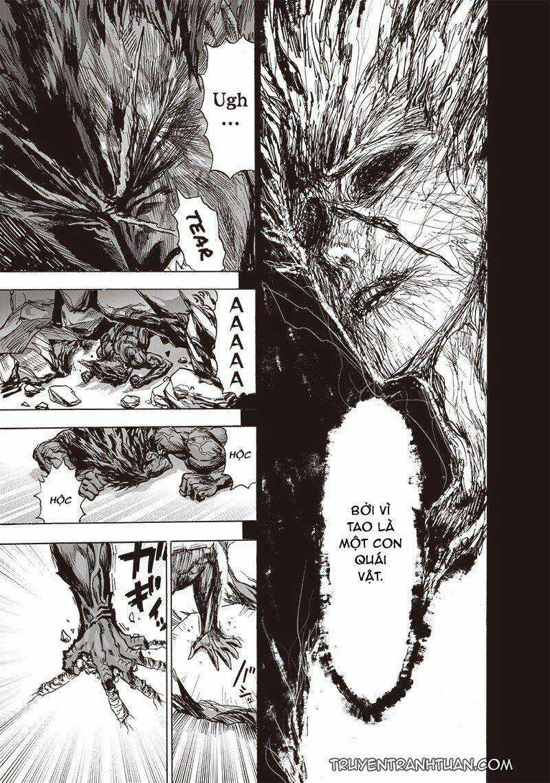 Anh Hùng Onepunch - Chapter 183 - Trang 12