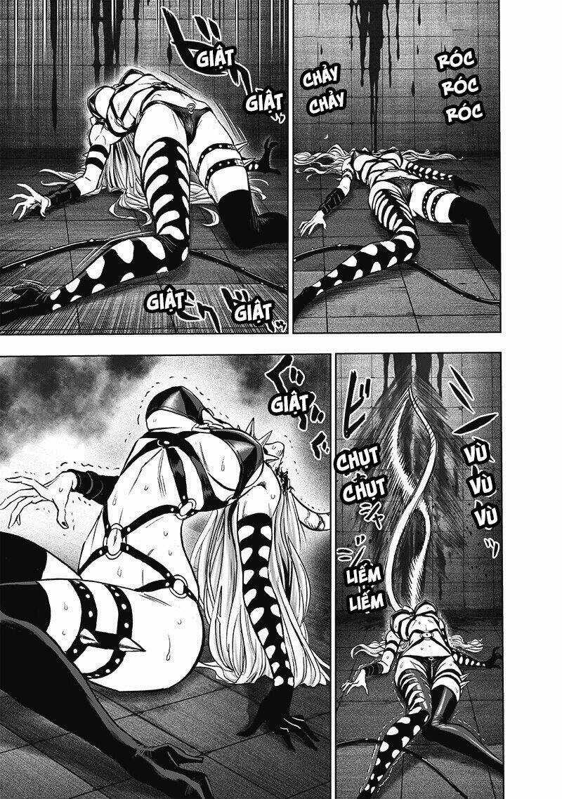 Anh Hùng Onepunch - Chapter 196.6 - Trang 4