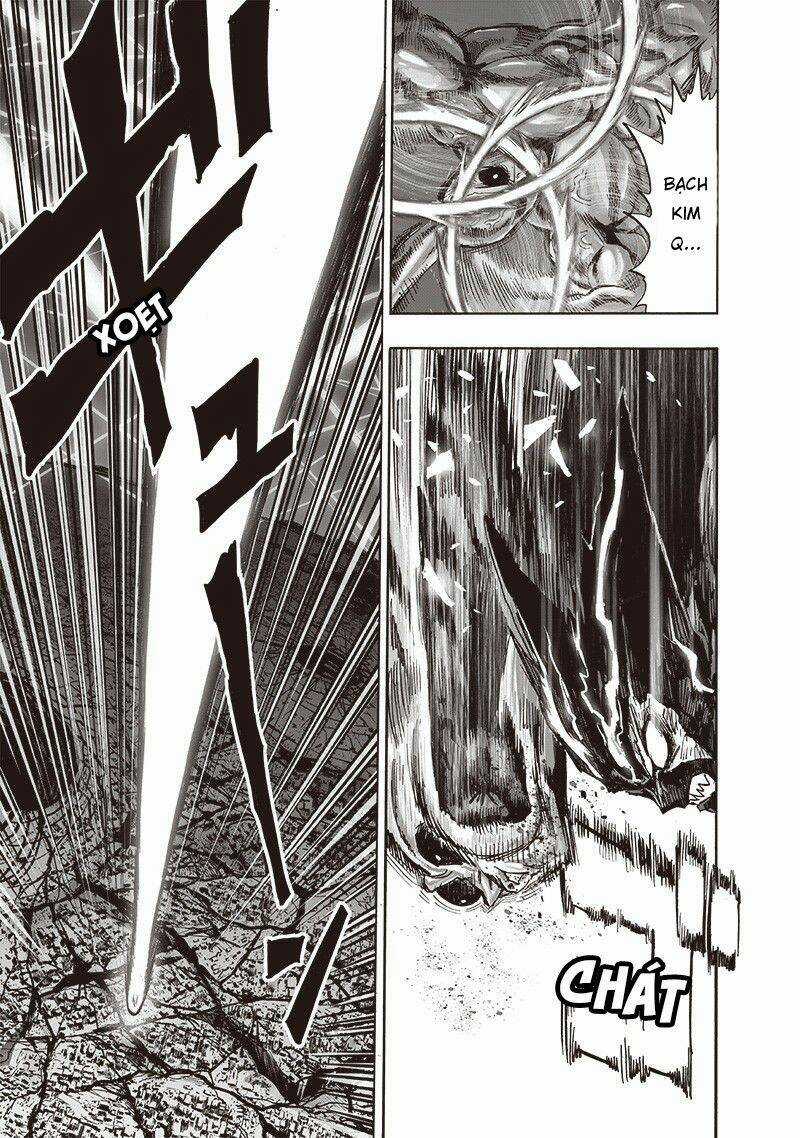 Anh Hùng Onepunch - Chapter 203 - Trang 17