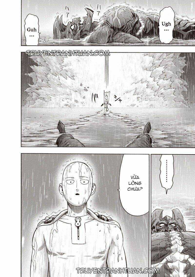 Anh Hùng Onepunch - Chapter 211 - Trang 29