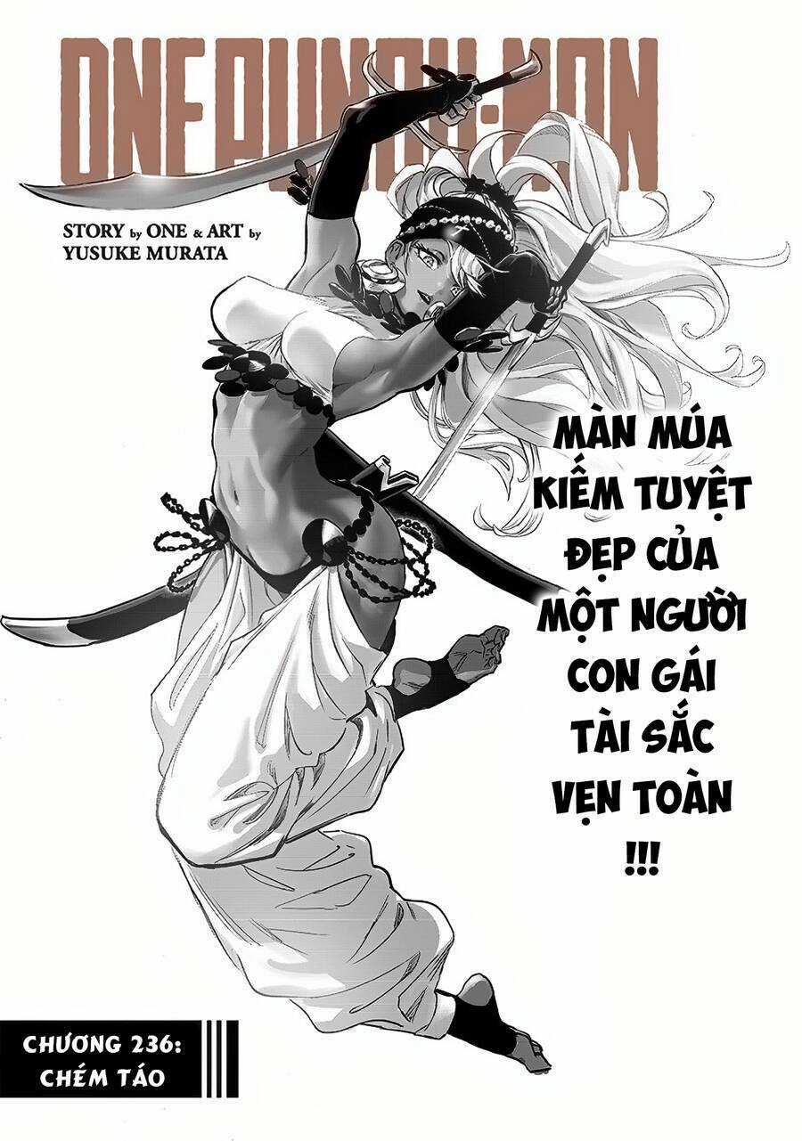 Anh Hùng Onepunch - Chapter 236 - Trang 1