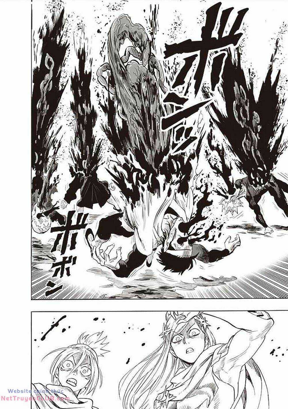 Anh Hùng Onepunch - Chapter 247 - Trang 11