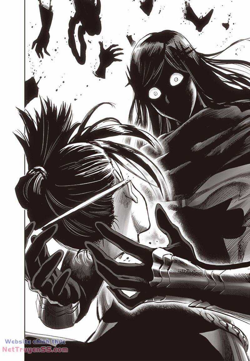 Anh Hùng Onepunch - Chapter 248 - Trang 17