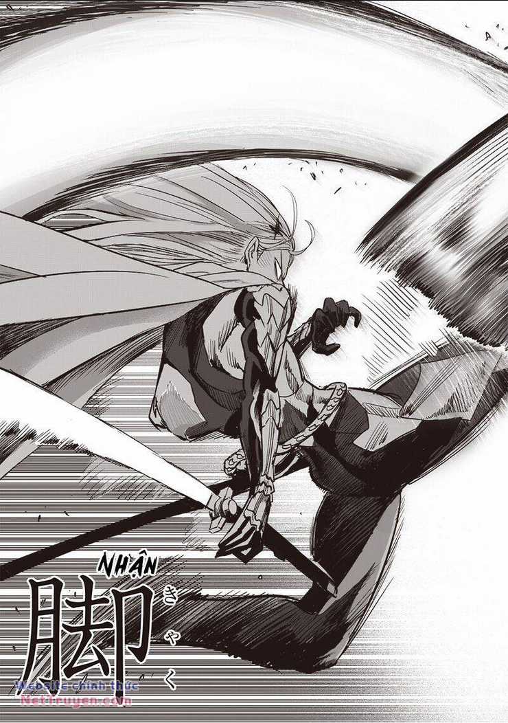 Anh Hùng Onepunch - Chapter 253 - Trang 16