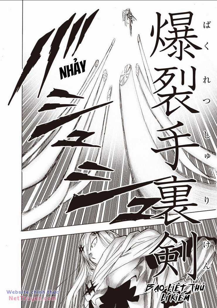 Anh Hùng Onepunch - Chapter 253 - Trang 21