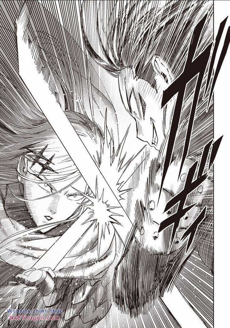 Anh Hùng Onepunch - Chapter 253 - Trang 10