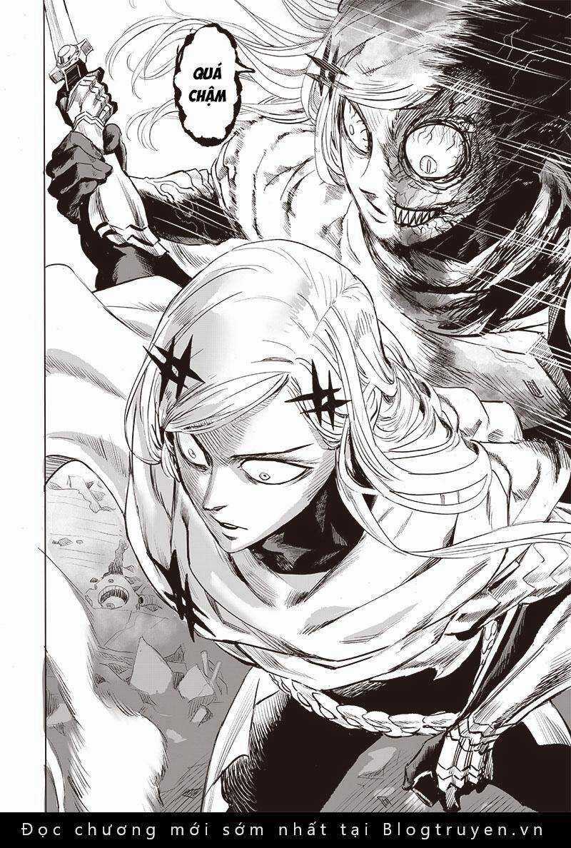 Anh Hùng Onepunch - Chapter 255 - Trang 13