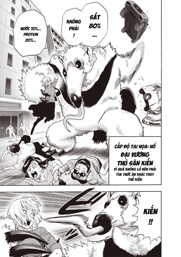 Anh Hùng Onepunch - Chapter 257 - Trang 4