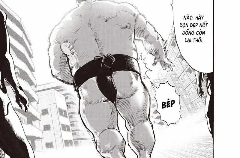 Anh Hùng Onepunch - Chapter 295 - Trang 17