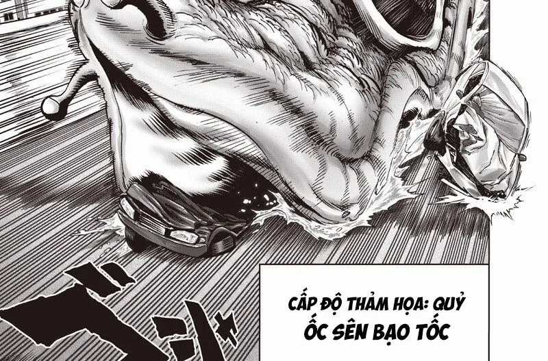 Anh Hùng Onepunch - Chapter 295 - Trang 35
